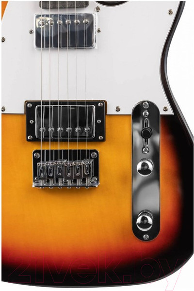 Изображение товара Электрогитара Terris TTL-145 SB