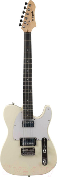 Изображение товара Электрогитара Terris TTL-145 IV