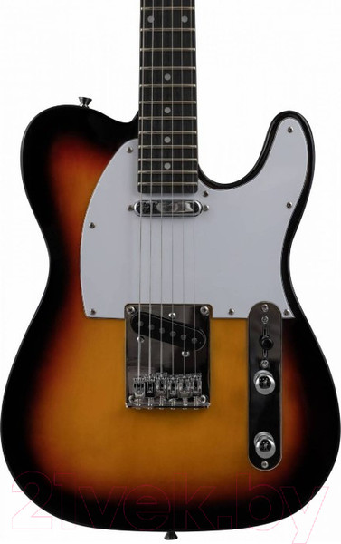 Изображение товара Электрогитара Terris TTL-045 SB