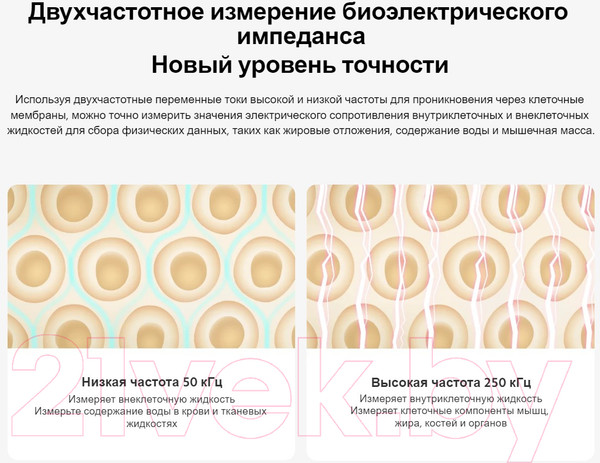 Изображение товара Напольные весы электронные Xiaomi Body Composition Scale S400 BHR7793GL / MJTZC01YM