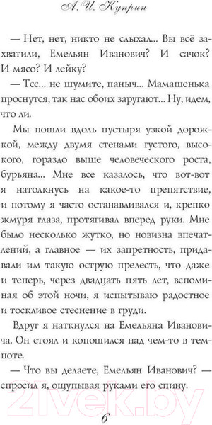 Изображение товара Книга Рипол Классик Чудесный доктор: рассказы / 9785386150815 (Куприн А.И.)