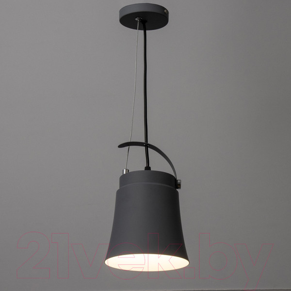 Изображение товара Потолочный светильник BayerLux Ритона / 9717776 (серый)