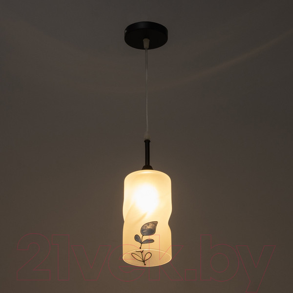 Изображение товара Потолочный светильник BayerLux Тейла / 9920223 (черный)