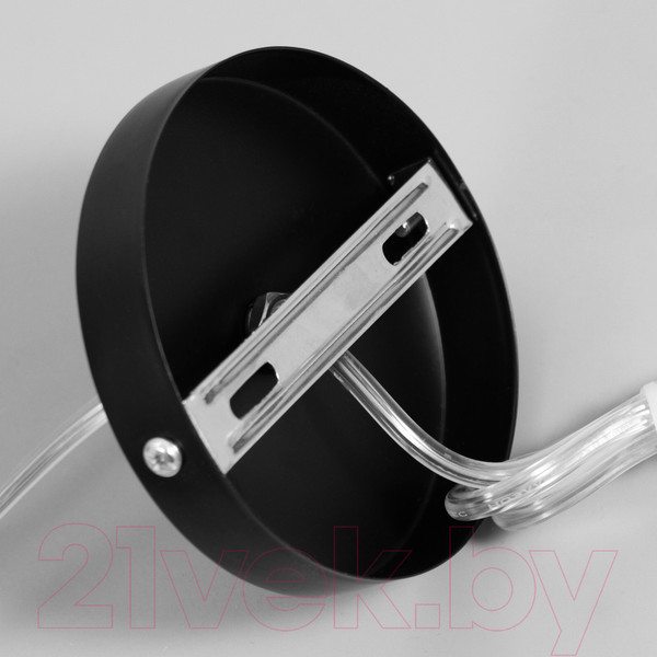 Изображение товара Потолочный светильник BayerLux Тейла / 9920223 (черный)