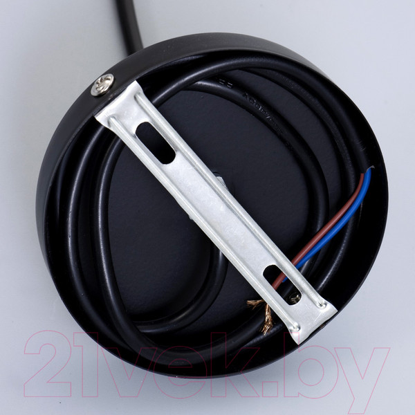 Изображение товара Потолочный светильник BayerLux Ванда / 9717768 (черный)