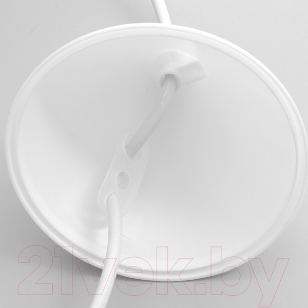 Изображение товара Потолочный светильник BayerLux Десси / 9269447 (белый)