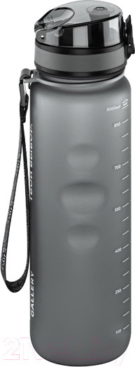 Изображение товара Бутылка для воды Elan Gallery Style Matte / 280207 (серый)