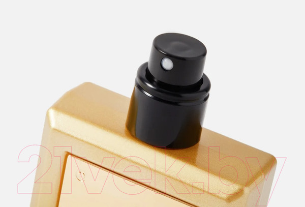 Изображение товара Парфюмерная вода Antonio Banderas The Secret Absolu For Men (50мл)