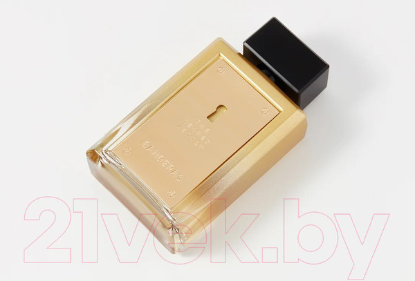 Изображение товара Парфюмерная вода Antonio Banderas The Secret Absolu For Men (100мл)