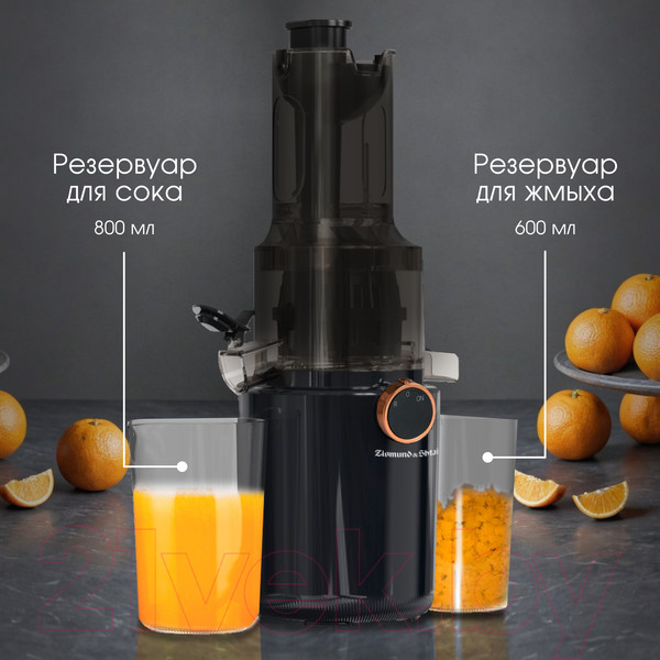 Изображение товара Соковыжималка электрическая Zigmund & Shtain ESJ-771