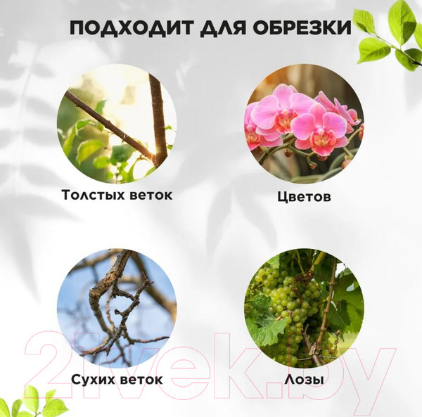 Изображение товара Секатор механический Green Apple GTAS-072 / Б0062397