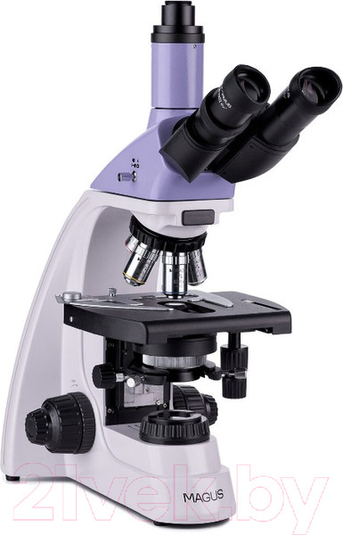 Изображение товара Микроскоп оптический Magus Bio 250T / 82890