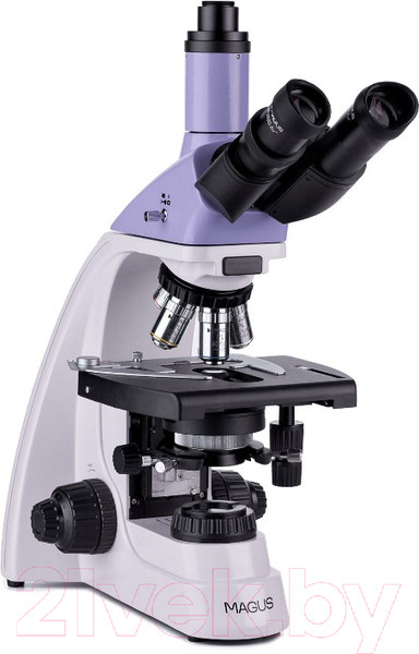 Изображение товара Микроскоп оптический Magus Bio 250TL / 82891