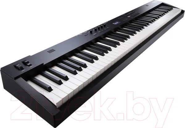 Изображение товара Цифровое фортепиано Roland RD-08