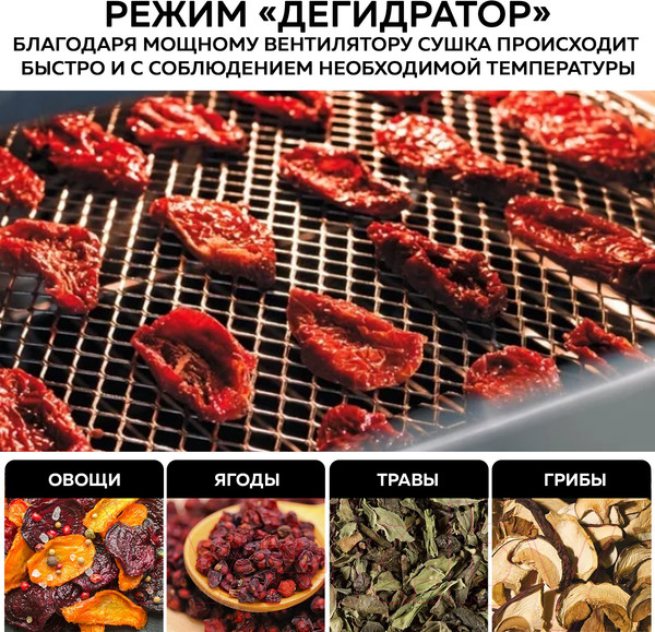 Изображение товара Ростер GFGRIL GFAO-750