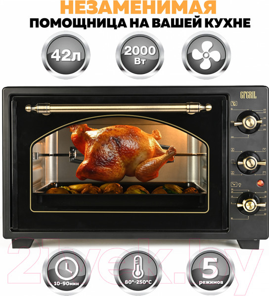 Изображение товара Ростер GFGRIL GFO-42-black