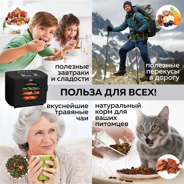 Изображение товара Сушильный шкаф для овощей и фруктов GFGRIL GFD-003