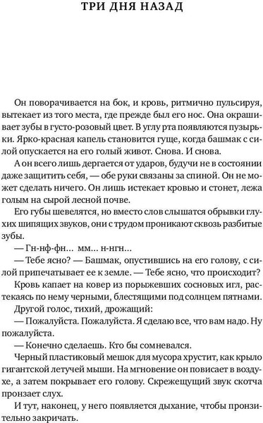 Изображение товара Книга Рипол Классик Темная земля твердая обложка (Макбрайд Стюарт)