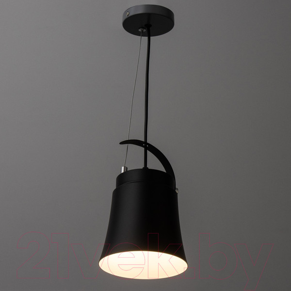 Изображение товара Потолочный светильник BayerLux Ритона / 9717778 (черный)