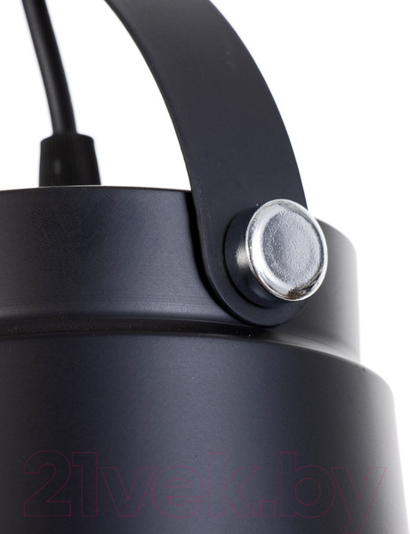 Изображение товара Потолочный светильник BayerLux Ритона / 9717778 (черный)