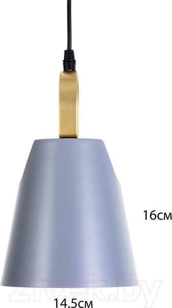 Изображение товара Потолочный светильник BayerLux Санса / 9717780 (серый)