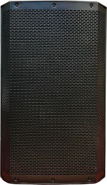 Изображение товара Сценический монитор Acury DS12