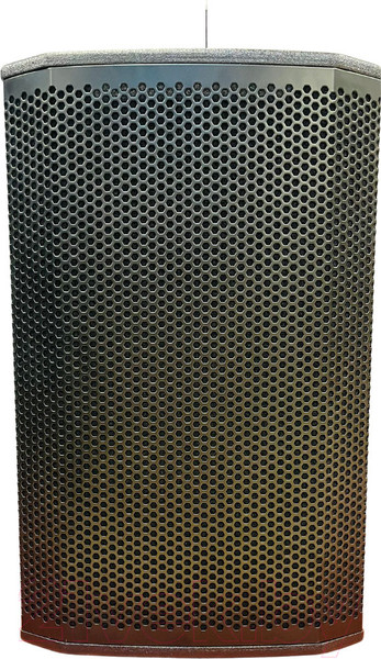 Изображение товара Сценический монитор Acury DS15W