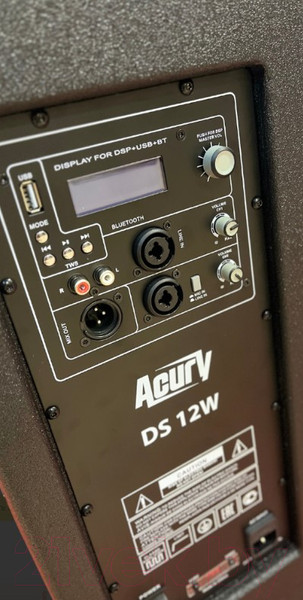 Изображение товара Сценический монитор Acury DS12W