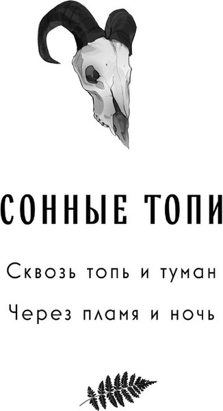 Изображение товара Книга Черным-бело Через пламя и ночь, твердая обложка (Андрианова Анастасия)