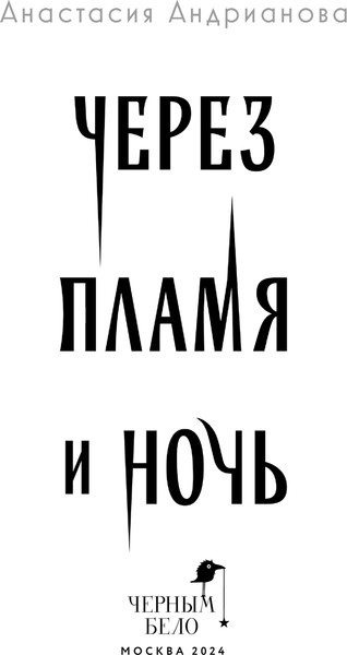 Изображение товара Книга Черным-бело Через пламя и ночь, твердая обложка (Андрианова Анастасия)