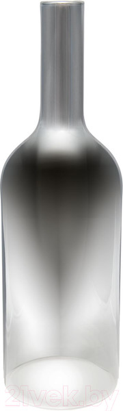 Изображение товара Ваза Вещицы Бутылка CSA-36M (серебристый)