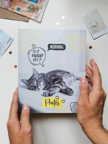 Изображение товара Фотоальбом Полином Муррр Полином / FA 200.003-3