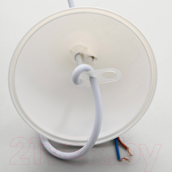 Изображение товара Потолочный светильник BayerLux 6031254 (белый/черный)