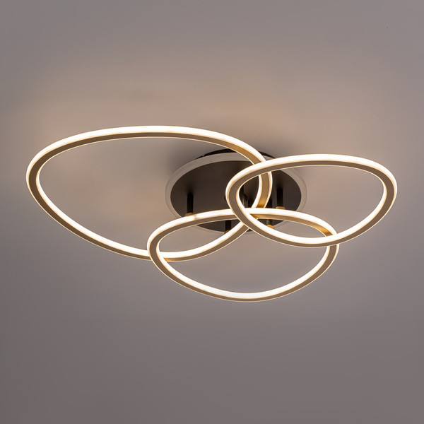 Изображение товара Люстра Citilux Trio CL215B132