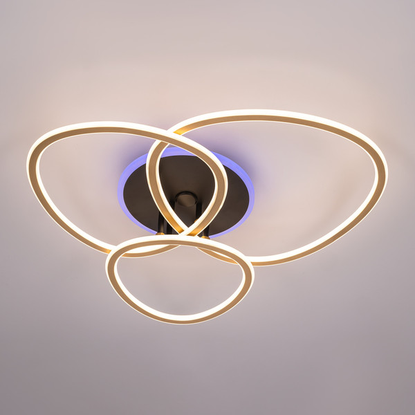 Изображение товара Люстра Citilux Trio CL215B132