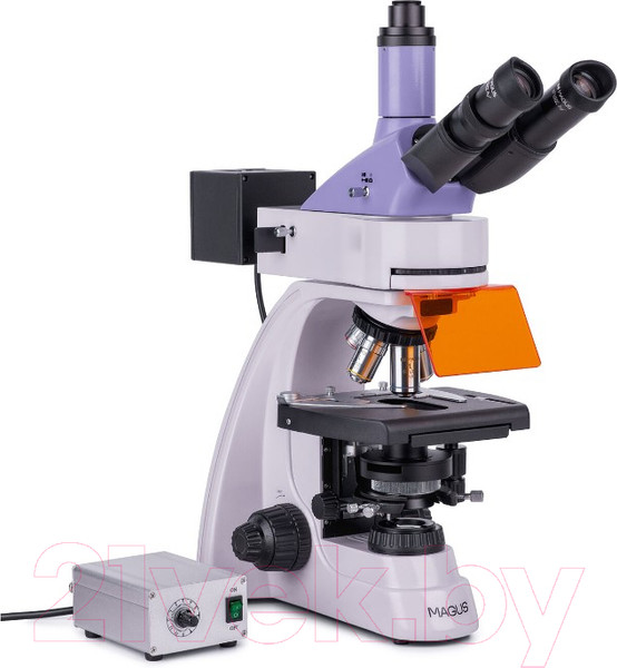 Изображение товара Микроскоп оптический Magus Lum 400L / 82905