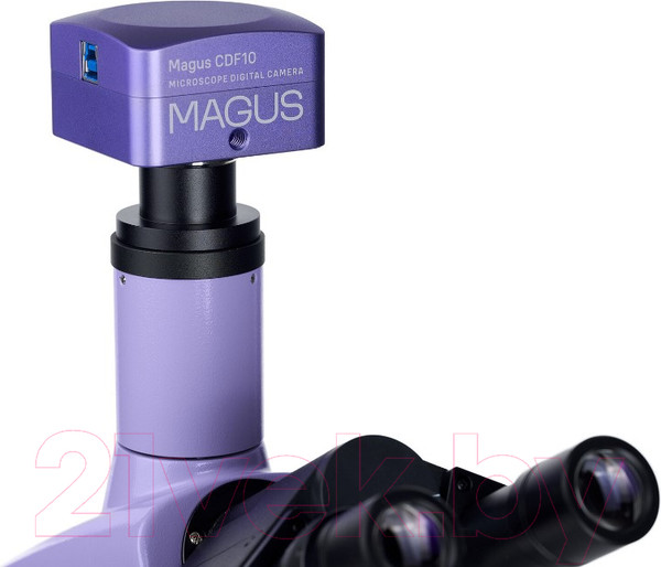Изображение товара Микроскоп цифровой Magus Bio D230TL / 83006