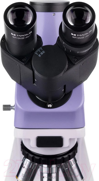 Изображение товара Микроскоп цифровой Magus Bio D250TL / 83010