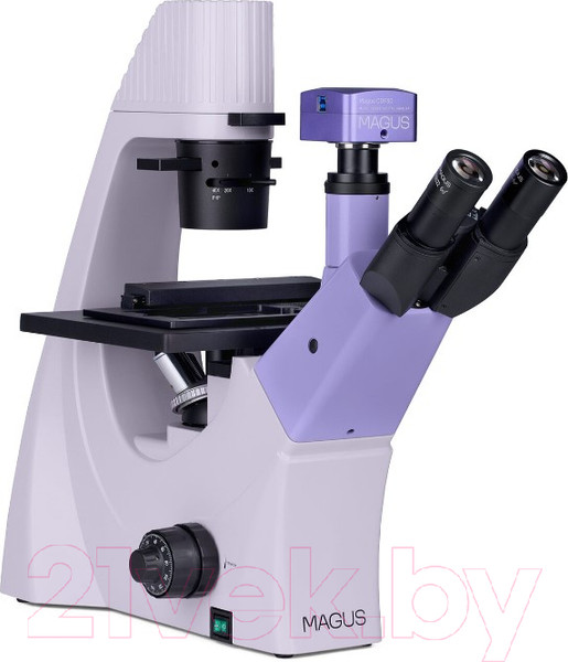 Изображение товара Микроскоп цифровой Magus Bio VD300 / 83012