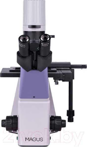 Изображение товара Микроскоп цифровой Magus Bio VD300 / 83012