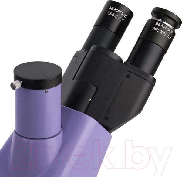 Изображение товара Микроскоп цифровой Magus Bio VD300 / 83012