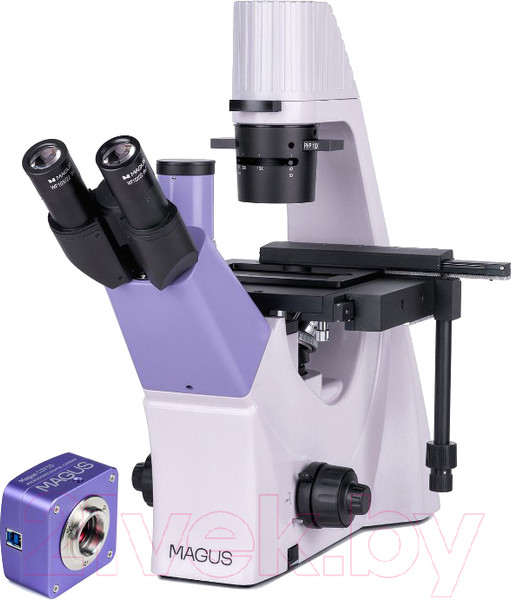 Изображение товара Микроскоп цифровой Magus Bio VD300 / 83012