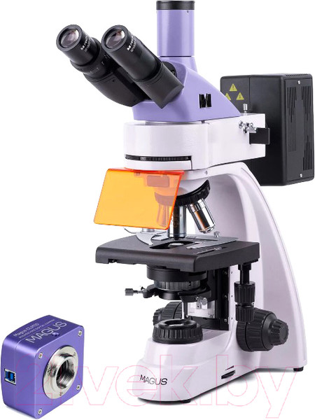 Изображение товара Микроскоп цифровой Magus Lum D400 / 83016