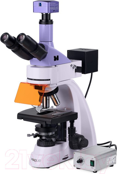 Изображение товара Микроскоп цифровой Magus Lum D400L / 83018