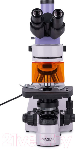 Изображение товара Микроскоп цифровой Magus Lum D400L / 83018