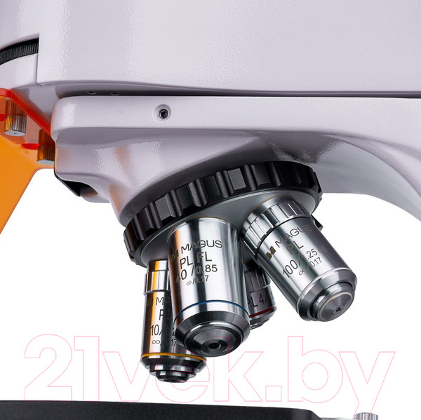 Изображение товара Микроскоп цифровой Magus Lum D400L / 83018