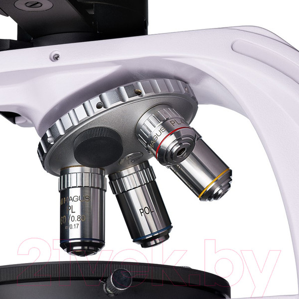 Изображение товара Микроскоп цифровой Magus Pol D800 / 83040