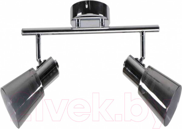Изображение товара Спот Aitin-Pro НПБ 02-2x60-102 / 51596/2 (хром)