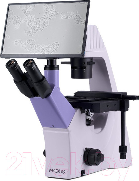 Изображение товара Микроскоп цифровой Magus Bio VD300 LCD / 83013