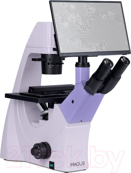 Изображение товара Микроскоп цифровой Magus Bio VD300 LCD / 83013